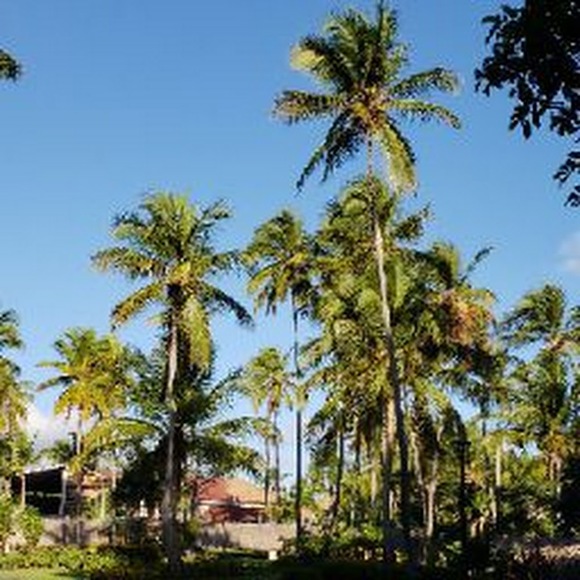 Meet your Posher, President - Picture 1 of 1